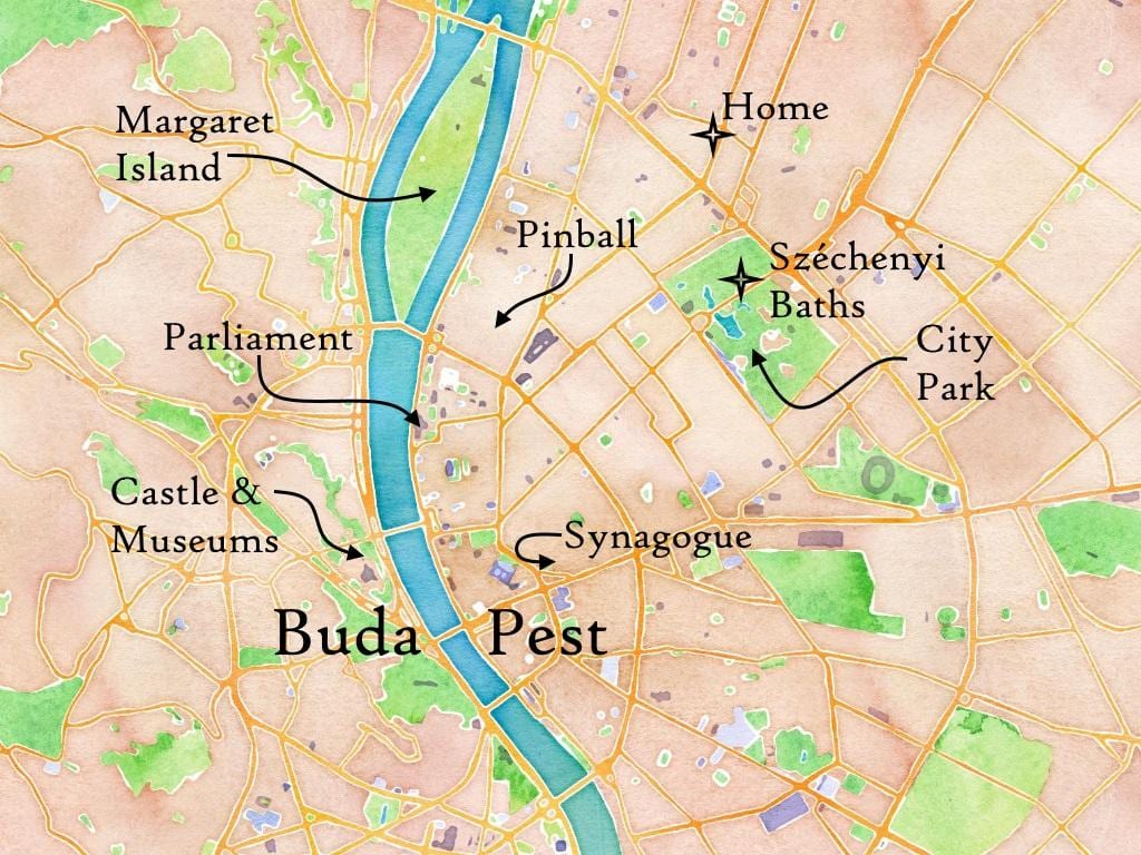 buda அல்லது பூச்சி வரைபடம்